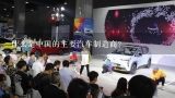什么是中国的主要汽车制造商？
