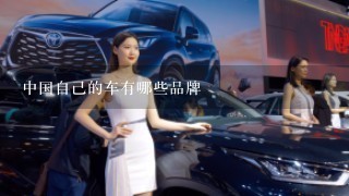 中国自己的车有哪些品牌