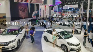 中国自主品牌，5万左右的轿车哪个品牌和车型安全性和耗油都相对好1点，请介绍几款？