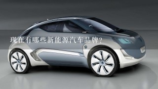 现在有哪些新能源汽车品牌？