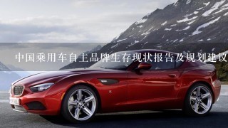 中国乘用车自主品牌生存现状报告及规划建议