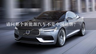 请问那个新能源汽车不是中国品牌？