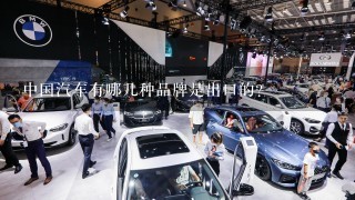 中国汽车有哪几种品牌是出口的？