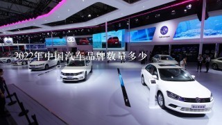 2022年中国汽车品牌数量多少