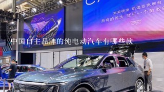 中国自主品牌的纯电动汽车有哪些款