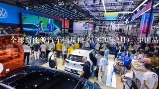 全球新能源汽车销量排名(2020年2月)：中国品牌无1进入前十