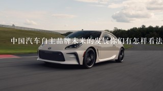 中国汽车自主品牌未来的发展你们有怎样看法？
