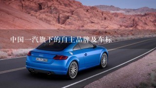 中国1汽旗下的自主品牌及车标