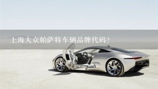 上海大众帕萨特车辆品牌代码？