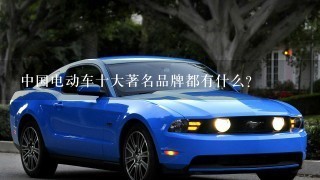 中国电动车十大著名品牌都有什么？