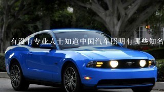 有没有专业人士知道中国汽车照明有哪些知名的品牌？