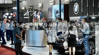 上海电动汽车有哪些品牌？上海电动汽车介绍