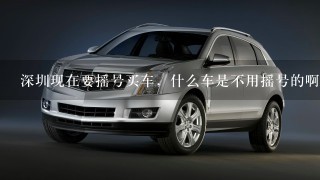 深圳现在要摇号买车，什么车是不用摇号的啊