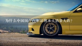 为什么中国国产汽车品牌本土销量大跌？