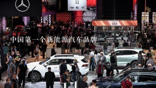 中国第1个新能源汽车品牌