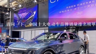 请问1下：中国十大电动车品牌销量排名榜单