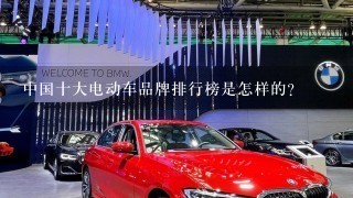 中国十大电动车品牌排行榜是怎样的？