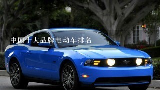 中国十大品牌电动车排名