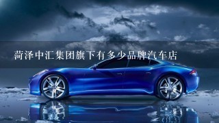 菏泽中汇集团旗下有多少品牌汽车店